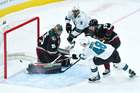 Je to zvíře, opěvují Hertla. Po roční pauze zazářil před "extraligovou" návštěvou