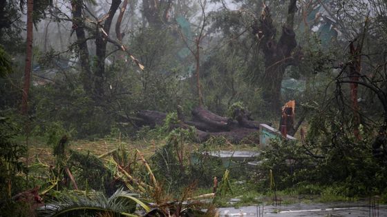 Haiti zažilo nejděsivější katastrofu od zemětřesení, USA kvůli hurikánu evakuují milion lidí