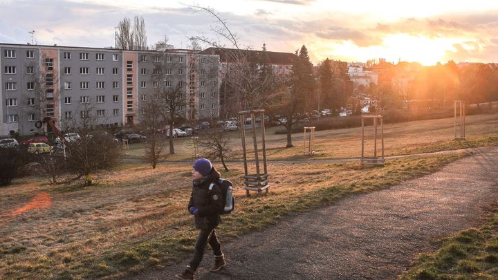 Letošní zima byla druhá nejteplejší od roku 1961, mimořádný byl hlavně únor