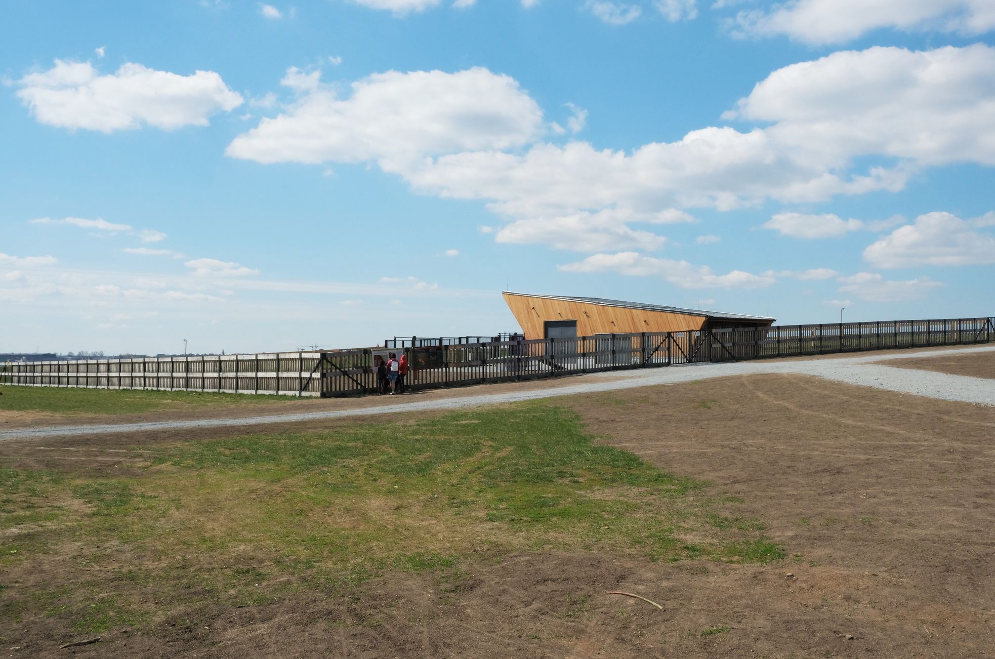 Koně na Dívčích hradech