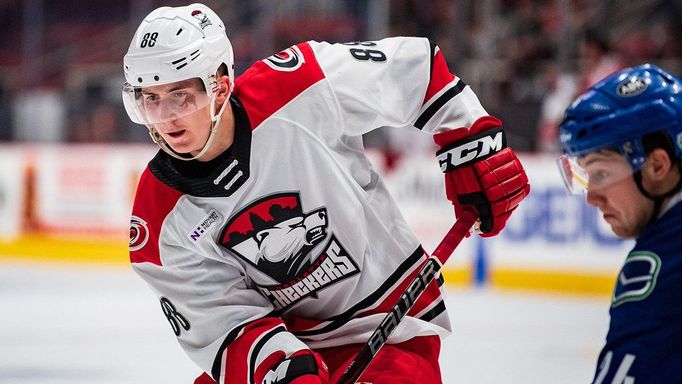 AHL 2018/19: Český útočník Martin Nečas v dresu Charlotte Checkers