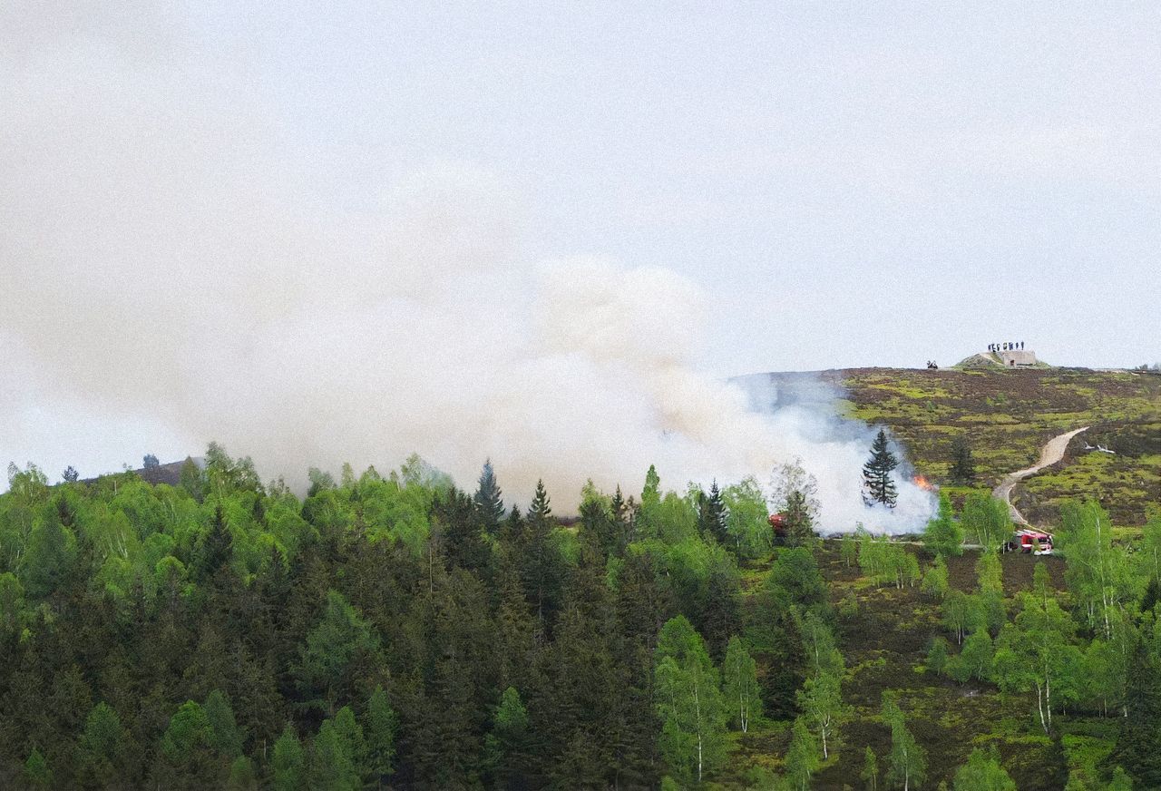 Jednorázové užití / Fotogalerie / Před 95 lety si Brdy vzala armáda, dnes je zde krásná divočina připomínající Šumavu