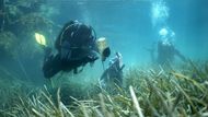 Dobrovolní potápěči z environmentální organizace Aegean Rebreath zahajují úklidovou akci v přístavu Votsi na řeckém ostrově Alonissos. Cílem je odstranit odpadky nahromaděné na mořském dně.