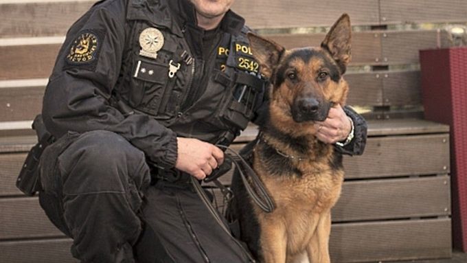 Policejní kynolog Libor Valečko a německý ovčák Ramses, vítěz kategorie Záchranný čin služebních a záchranářských psů.