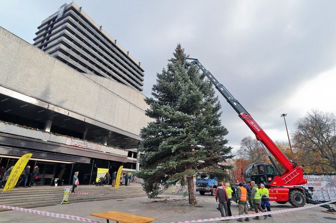 Instalace vánočního stromu před hotelem Thermal v Karlových Varech. 17. 11. 2023