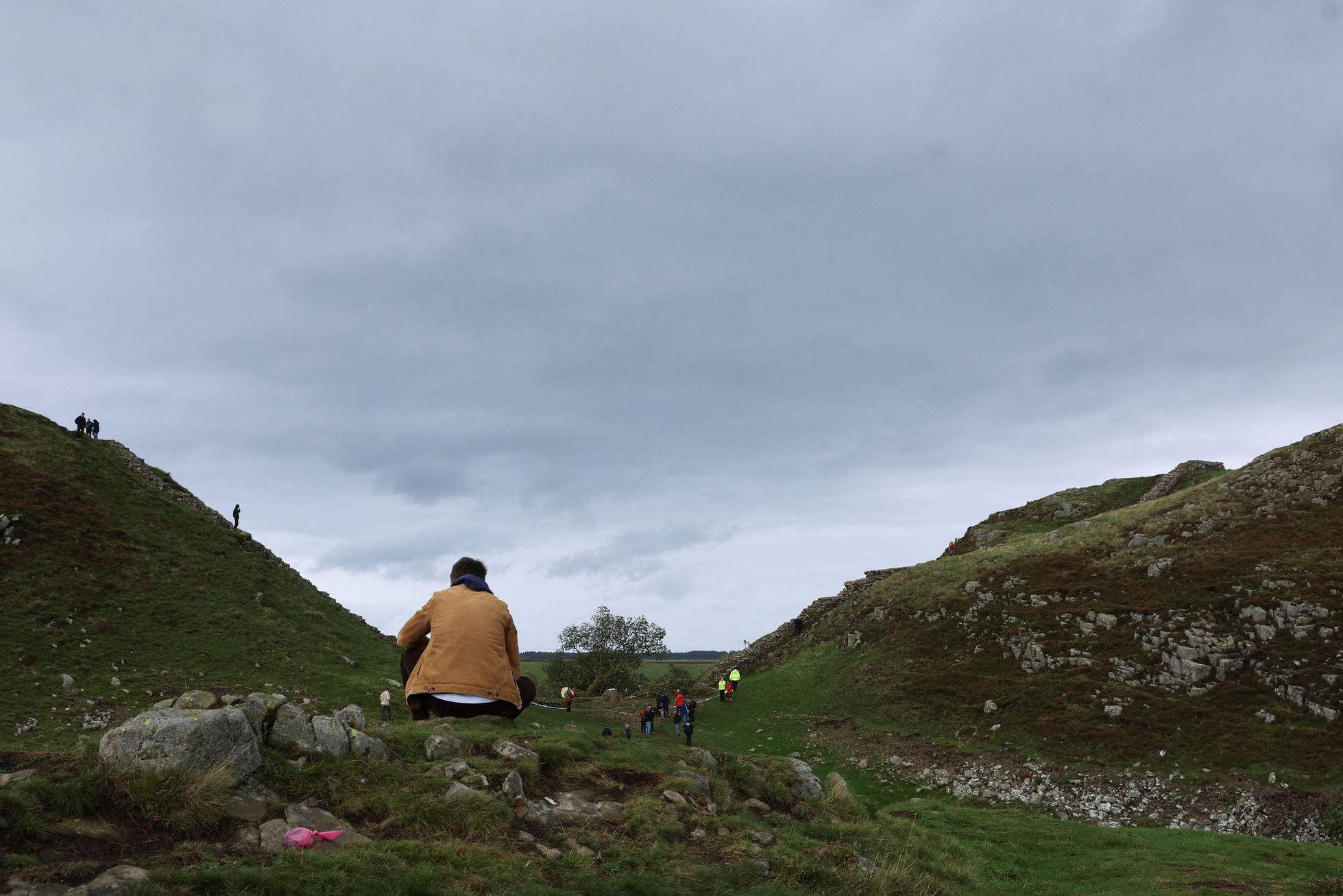 Sycamore gap, strom, Anglie