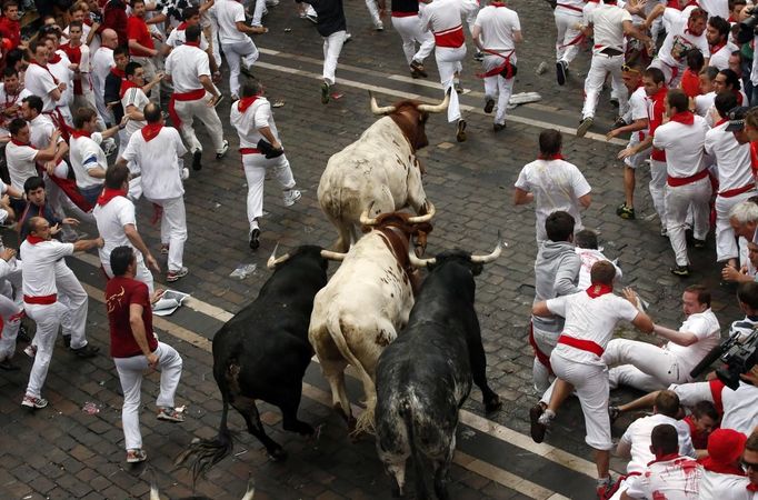 Runners sprint alongside Dolores Aguirre fighting bulls on Santo Domingo hill during the first running of the bulls of the San Fermin festival in Pamplona July 7, 2012. A runner was gored in the leg during the run that lasted two minutes and fifty three seconds, according to local media. REUTERS/Susana Vera (SPAIN - Tags: ANIMALS SOCIETY) Published: Čec. 7, 2012, 7:08 dop.