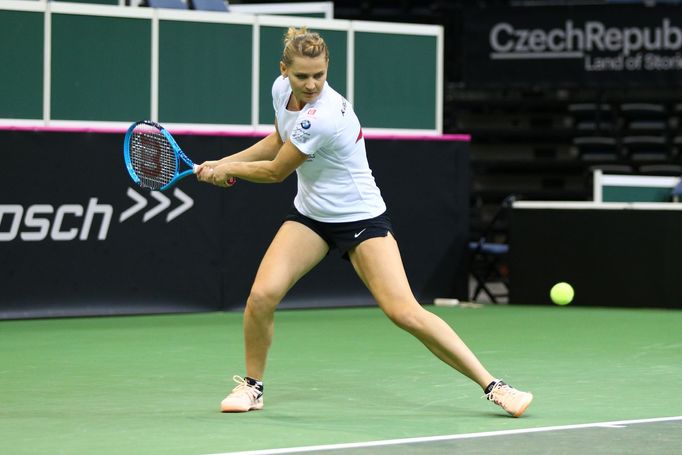 Fed Cup, Česko - Švýcarsko, Lucie Šafářová, trénink