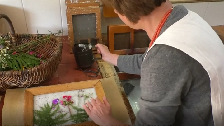 Polka zachraňuje včely před vymíráním. Pomáhá jí k tomu unikátní papír