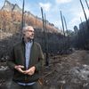Požár v Národním parku České Švýcarsko, tři měsíce poté