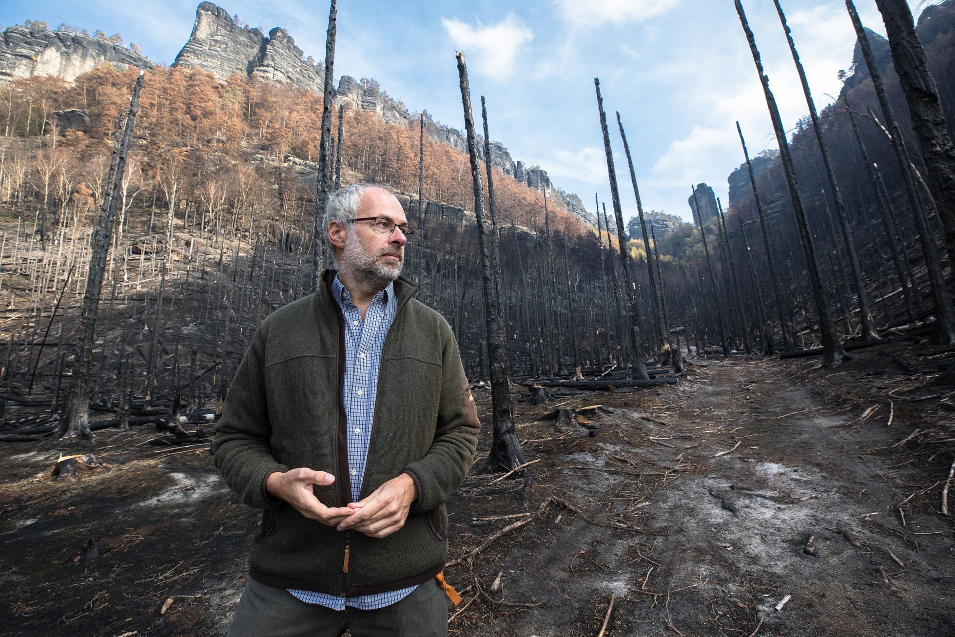 Požár v Národním parku České Švýcarsko, tři měsíce poté