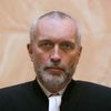 Stanislav Balík, soudce Ústavního soudu