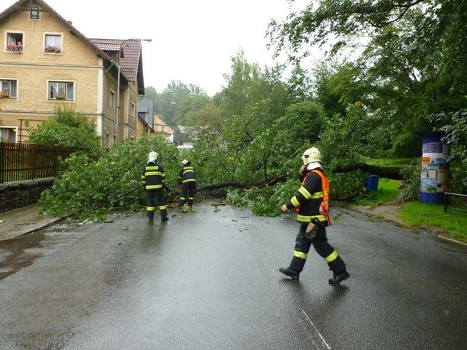 Prořezávání popadaných stromů v Libereckém kraji