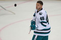 Havlát k posilám z NHL: Nikdo neřekl, že by nejel. Brankářů by mohlo přijet dost