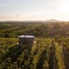 Glamping Ve vinohradě