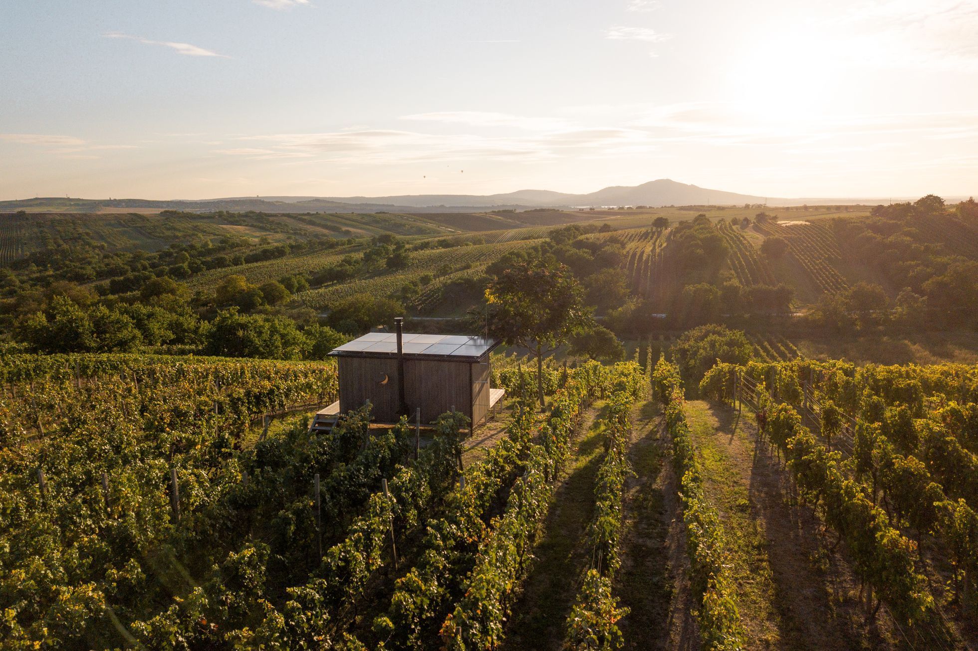 Glamping Ve vinohradě