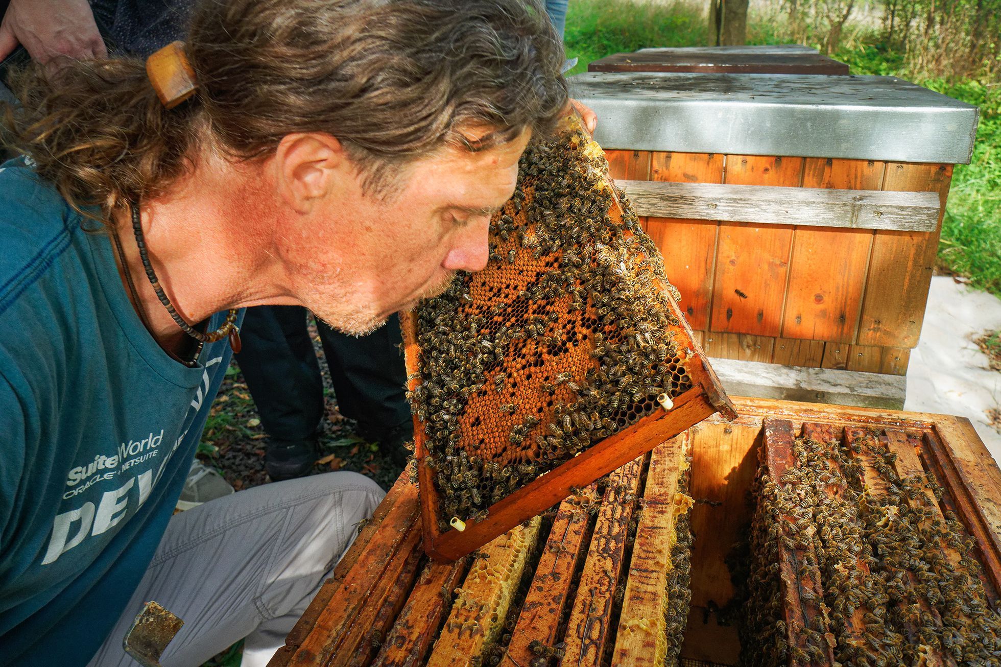 Včelař Martin Dědek, Mladostov v Českém ráji, srpen 2024