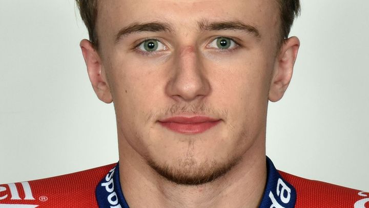  Karel Švec/Český hokej