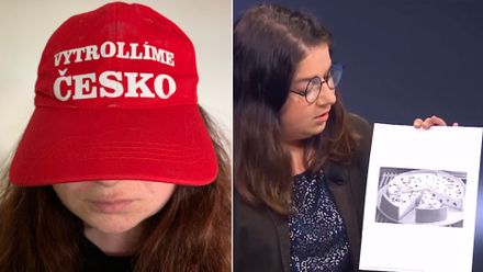 Babiš kopíruje Trumpa, kandidující Sejroška. Tady jsou bizáry voleb do EU