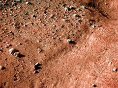 Že by pod povrchem Marsu žily bakterie? (Snímek ze sondy Phoenix.)
