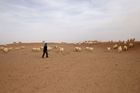 Písek z jedné z největších pouští na světě Gobi se do Pekingu dostává skoro každé jaro. V posledních letech ale klimatické změny způsobují stále častější písečné bouře, které narušují život v čínské metropoli.