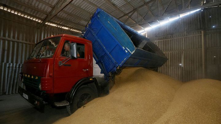 Rusové kradou na Ukrajině obilí a snaží se ho prodat. Odmítl je Libanon i Egypt; Zdroj foto: Reuters