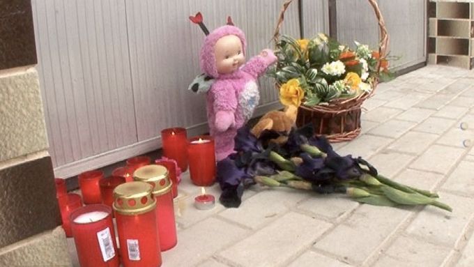 Mladá žena zabila letos v květnu své dvě malé děti a psa. Pak se pokusila o sebevraždu.