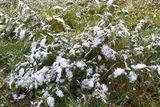 V Ostravě poprvé letos nasněžilo.