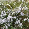 Ostrava sníh