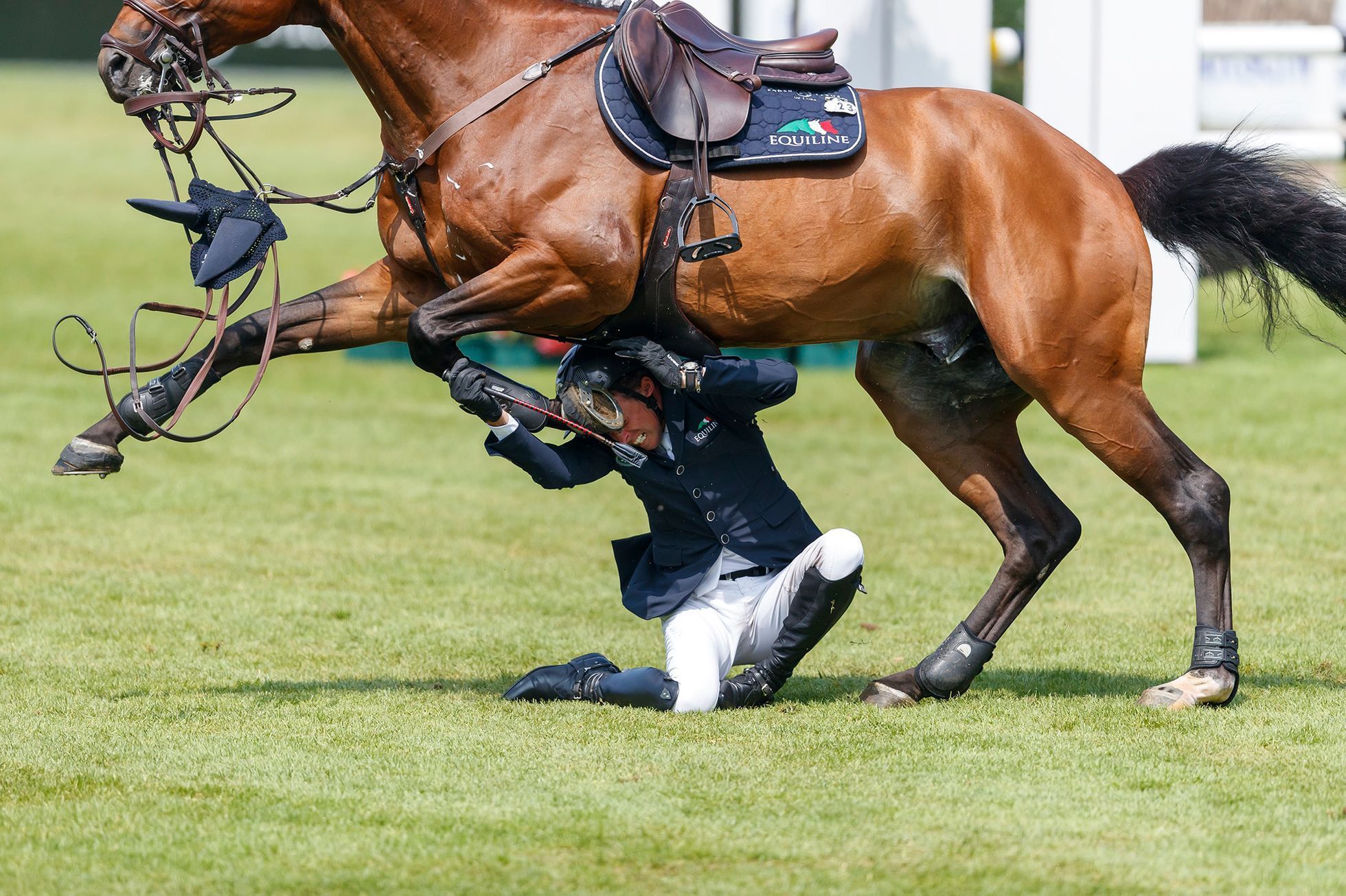Nominace na Czech Press Photo 2019 - Kultura a sport