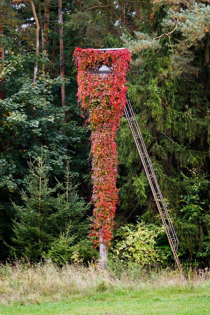 Lovec posedů / Fotogalerie / Posedy jak je určitě neznáte. Nechte se uhranout géniem myslivecké tvořivosti
