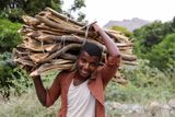 V 80. letech minulého století se těžba dřeva v Jemenu omezila, protože byly objeveny zásoby plynu. Stromy a dřevo z nich se pak místo paliva používaly především na stavbu domů.