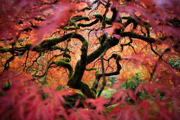 Foto: National Geographic Traveler Photo Contest 2012 !!!Zákaz použití ve článcích!!! /4/