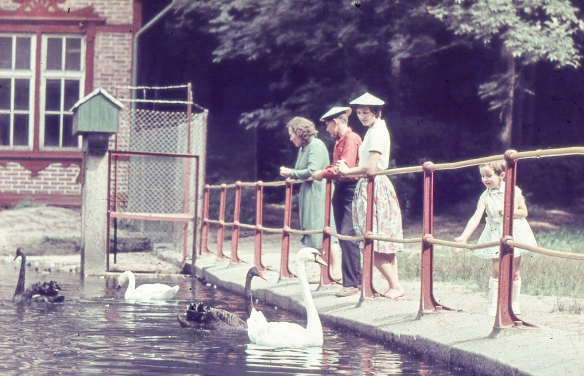 ZOO Liberec, zoo, zoologická zahrada, Liberec, historie, výročí, Domácí
