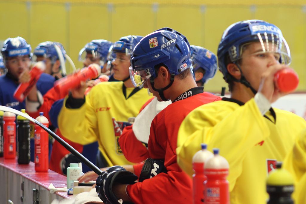 Tréninkový kemp hokejové reprezentace 2015