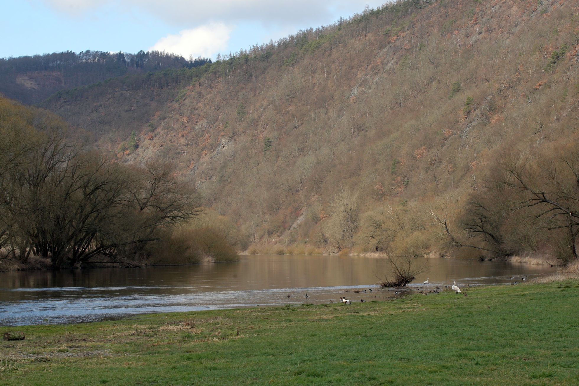 Berounka mezi Křivoklátem a Skryjemi