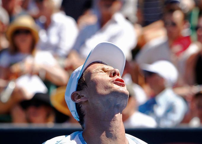 Tomáš Berdych na Australian Open 2015