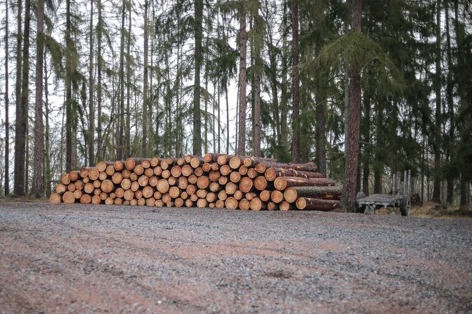 Materiál k rozdělané oplocence, který byl údajně záměrně přivezen daleko, aby se prodloužila doba stavby.