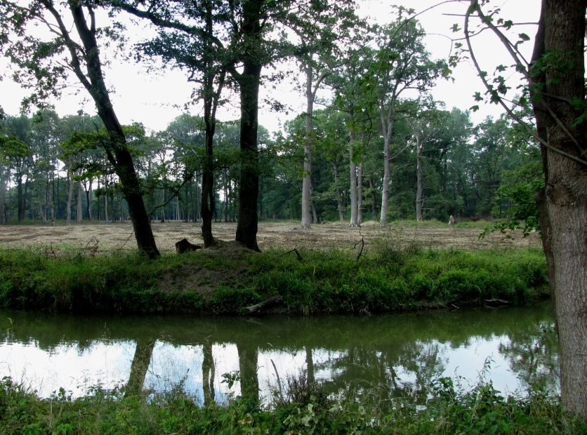 Moravská Amazonie u Lanžhotu