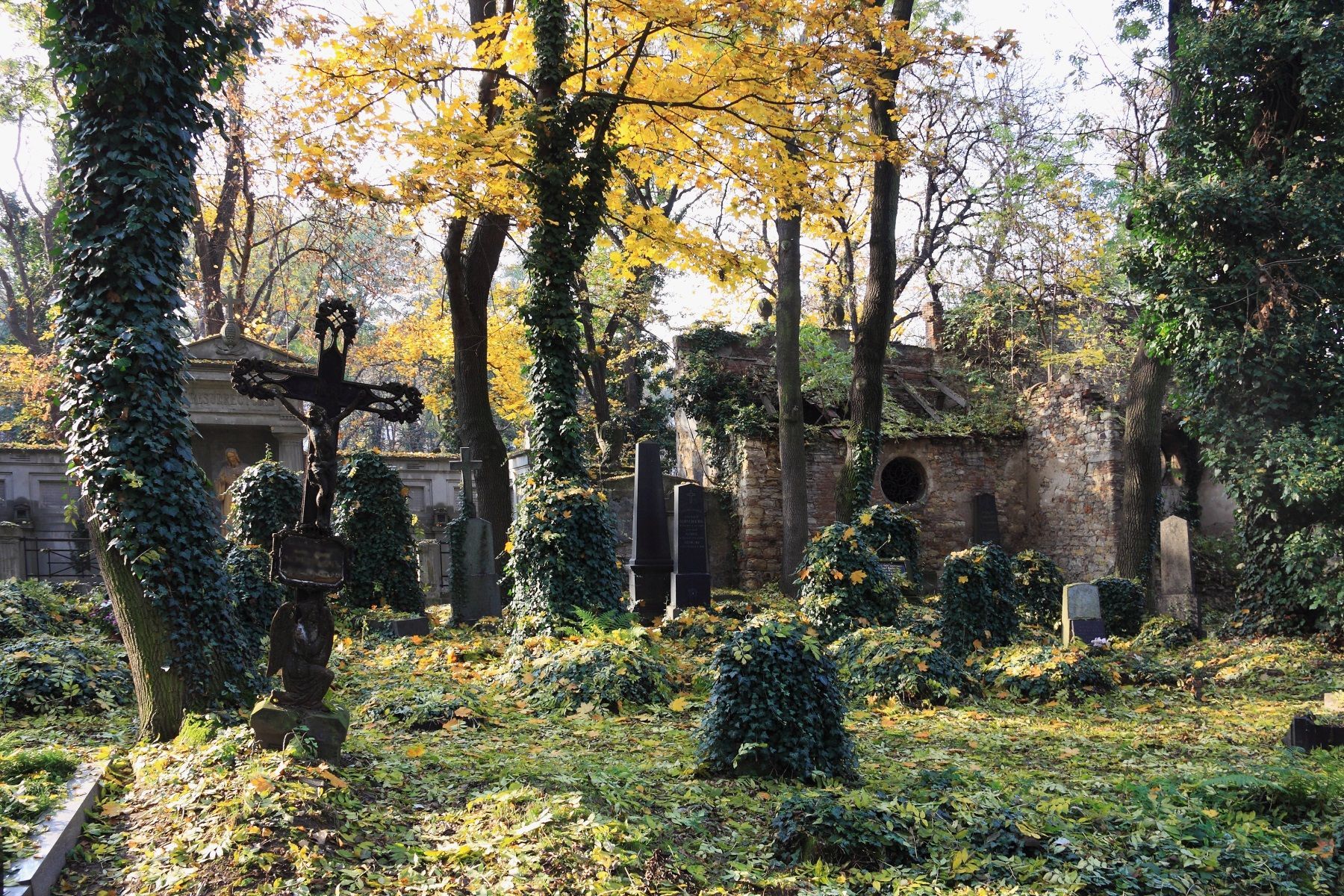 Hřbitov, ilustrační foto