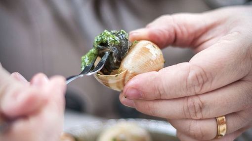 Animal, Crockery, Escargot, Food, Fork, French Food, Human Body Part, Human Hand, Meal, Photography, Plate, Vertical