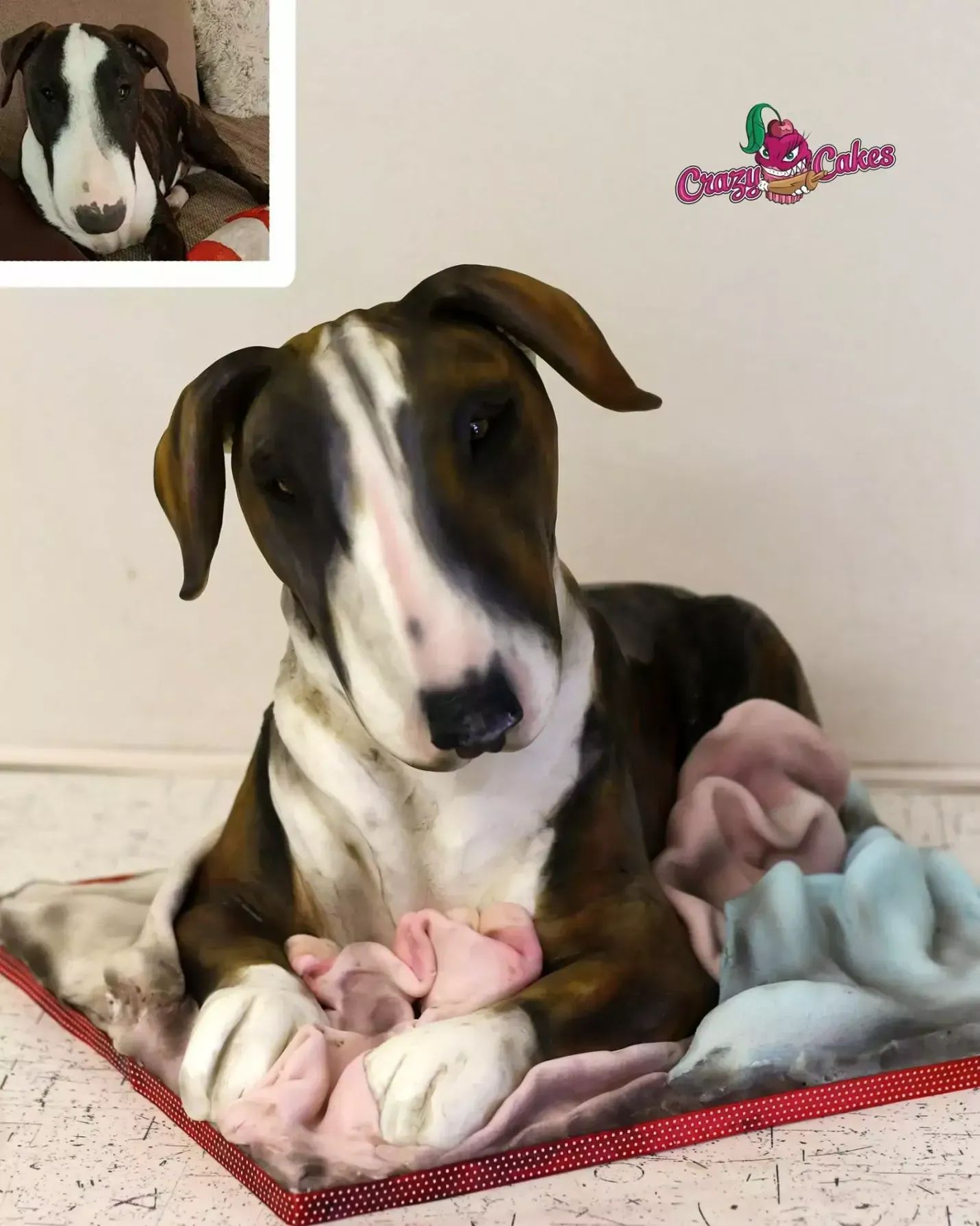 Cukrářka Lucie Charvátová