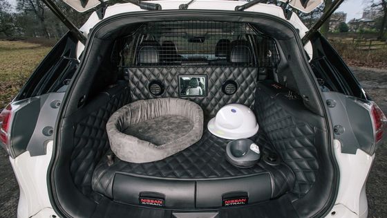 Zavazadlový prostor X-Trailu 4 Dogs byl zcela přepracován a poskytuje na míru šitý přepravní prostor pro dvě zvířata