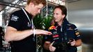 Princ Harry a šéf Red Bullu Christian Horner nad volantem vozu F1