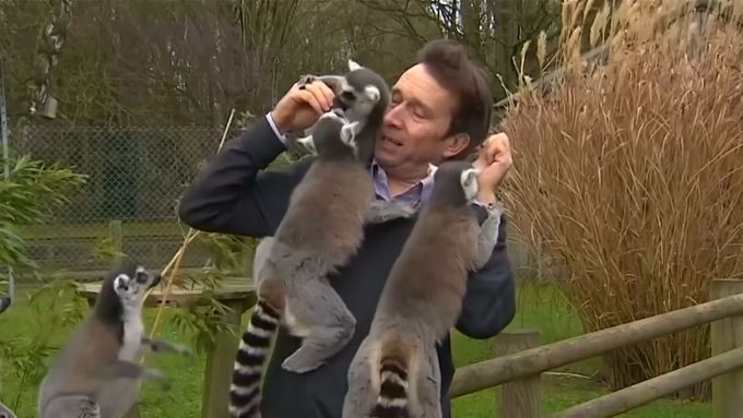 Reportér BBC v obležení lemurů
