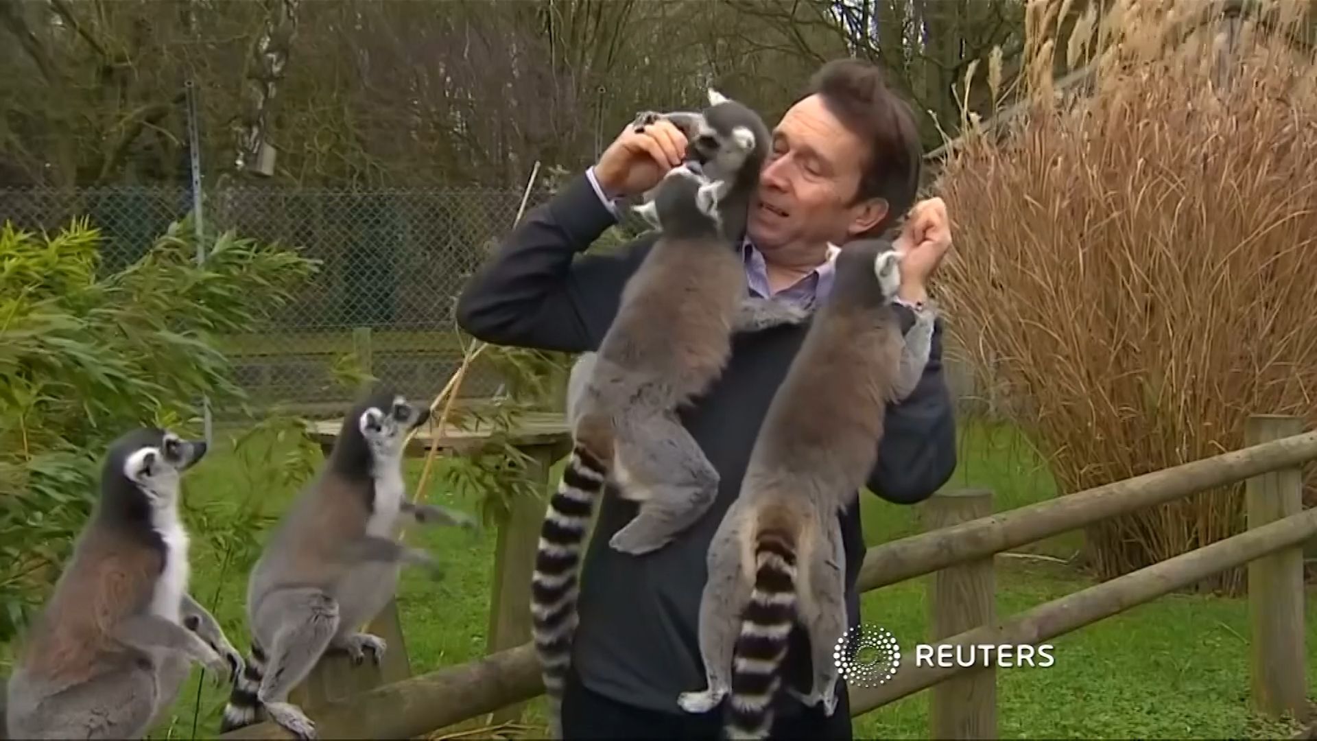 Reportér BBC v obležení lemurů