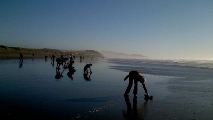 Dobrovolníci čistí moře od ropy pomocí vlasů a srsti