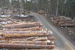 Lesy uklízí pily, Fuksa je na chráněné stromy nepustí