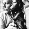 Jednorázové užití / Fotogalerie / Legendární britský přírodovědec David Attenborough slaví 95. narozeniny