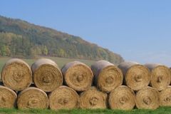 Czech farmers controlled more than EU standards